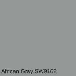 African-Gray