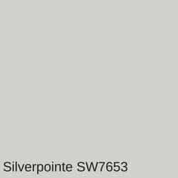 Silverpointe