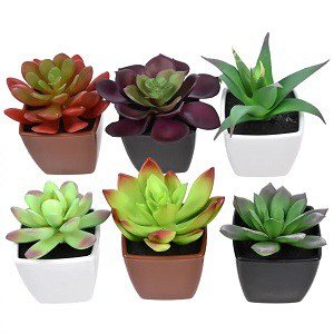 artificial-succulent-plant